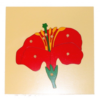 Botany Puzzle: Flower