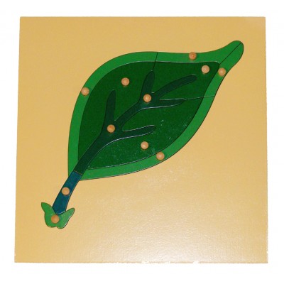 Botany Puzzle: Leaf