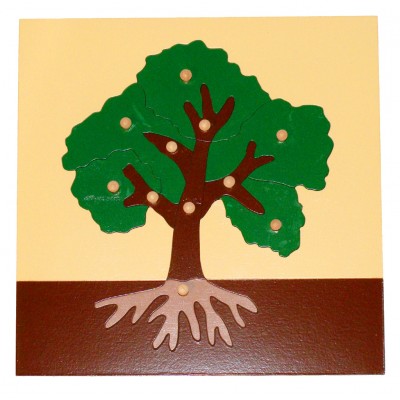 Botany Puzzle: Tree